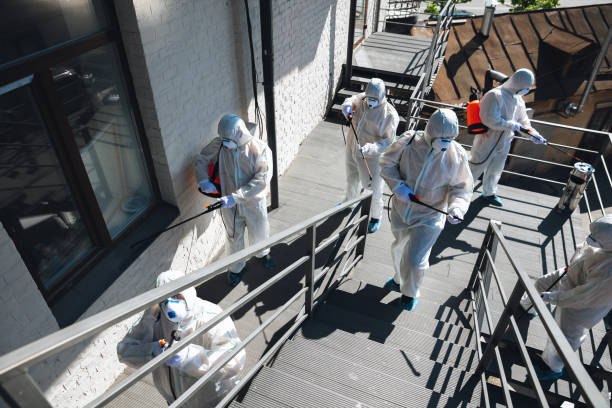 Best Water Damage & Mold Remediation  in Jefferson, TX