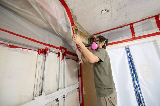 Best Mold Odor Removal Services  in Jefferson, TX