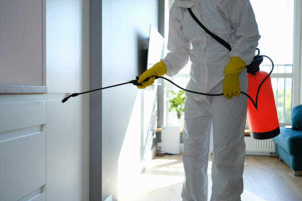 Best HVAC Mold Inspection and Cleaning  in Jefferson, TX