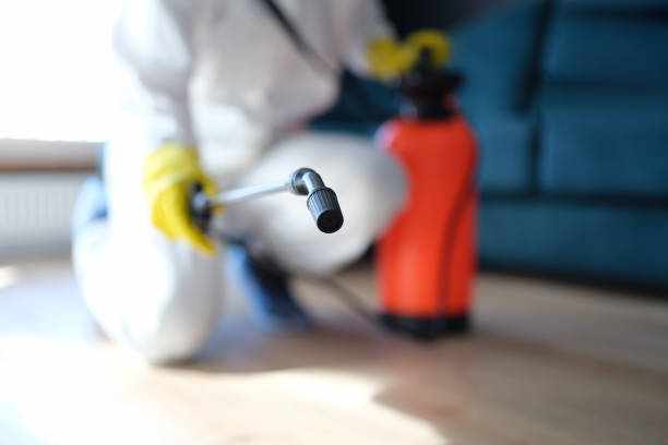 Best Residential Mold Inspection & Testing  in Jefferson, TX