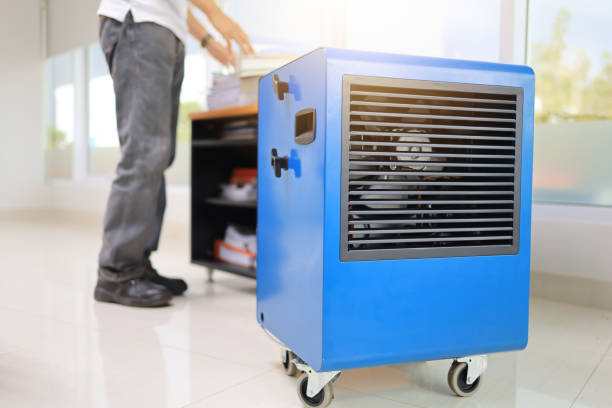 Jefferson, TX Mold Removal Company