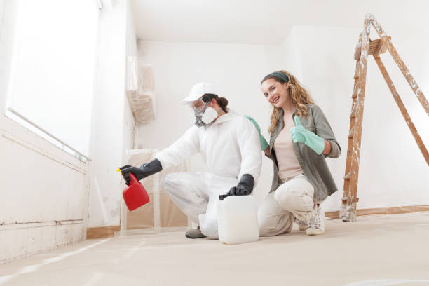 Best Industrial Mold Remediation  in Jefferson, TX